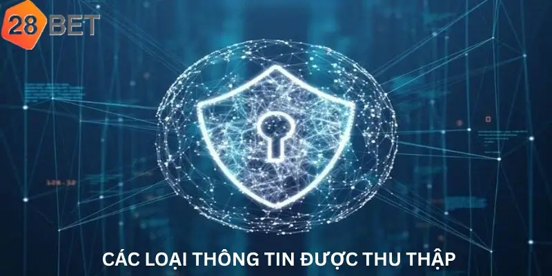 Các loại thông tin được thu thập