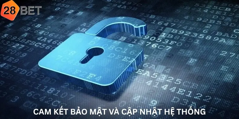 Cam kết bảo mật và cập nhật hệ thống